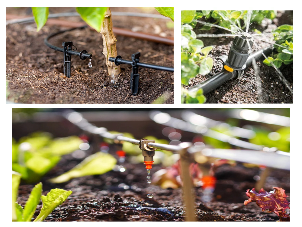 Drip Irrigation in Pakistan
